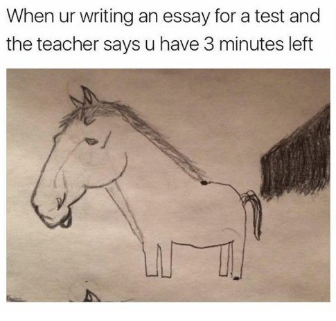 argumentative writing sample essay mla