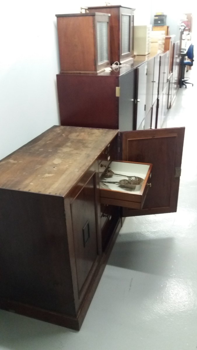 The horseshoe crab collection's new home