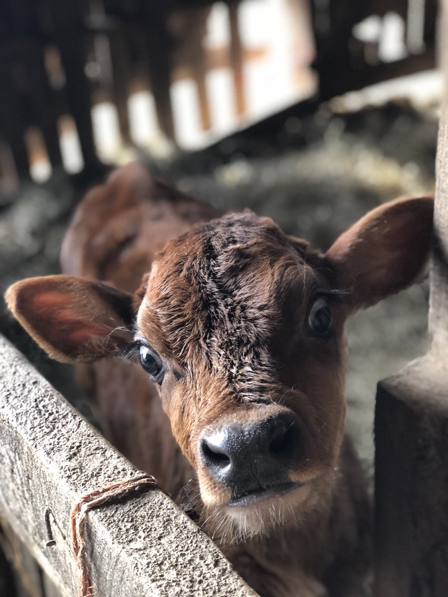 It’s not too cold for cuteness.