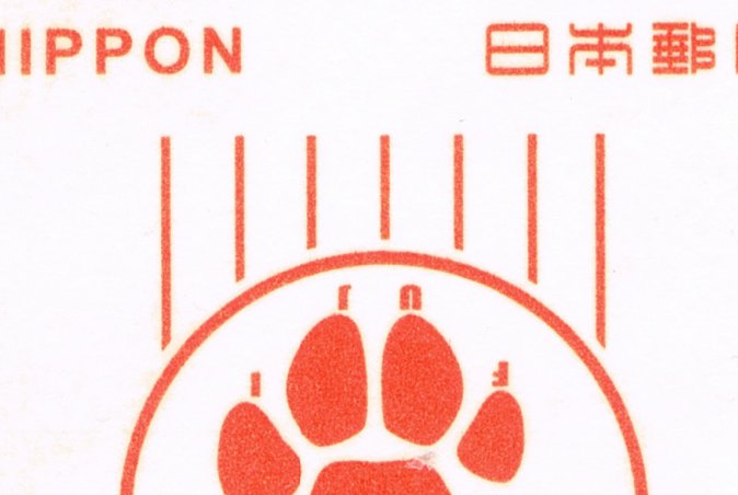 白岩和也 Rupisu Ar Twitter 年賀状をよーーく観察するとありますね Jpも隠し文字が好き なようですね あけまして おめでとうございます と書いてありますね 少し上には Fuji の逆さ文字も 紙幣と同じような感じですね 年賀状 隠し文字