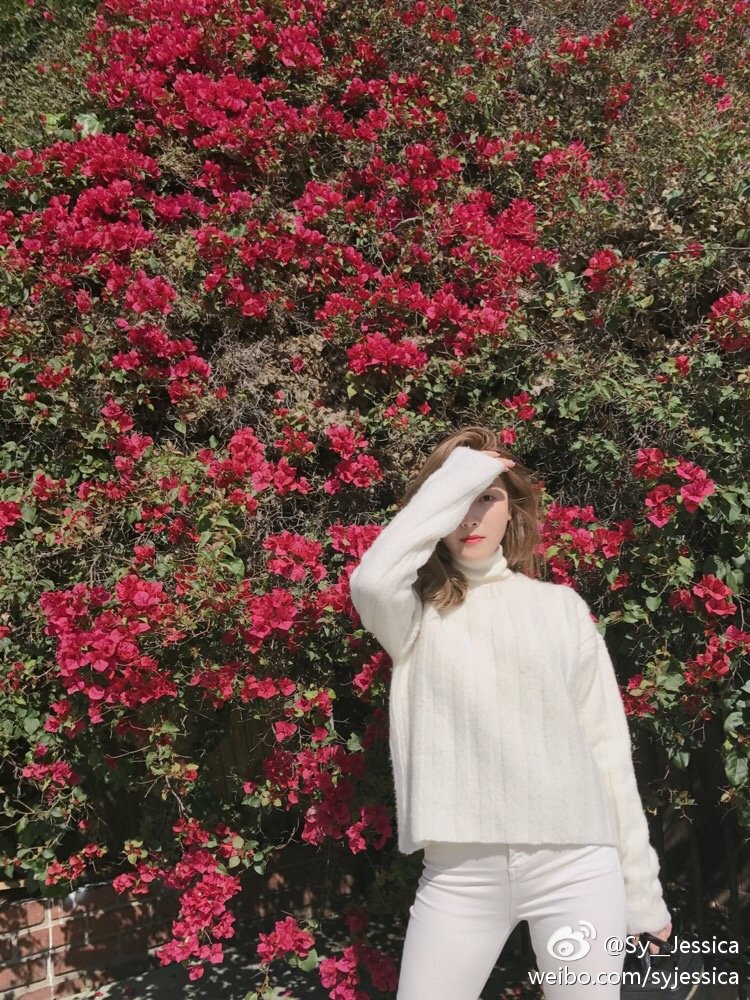 sweetdelight418's tweet photo. [DL] 2017 Jessica Weibo (267p+v)
☛ https://t.co/e5w6BMQnBj https://t.co/R1HDd3lNZa