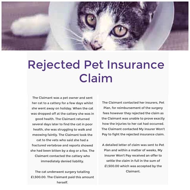 My Insurer Won't Pay are experts in dealing with insurance disputes and have had much success in overturning insurance companies' decisions. Contact us today #petinsurance #myinsurerwontpay #insuranceclaim #rejected #nowinnofee #freeinitialconsultation #claim #insurance