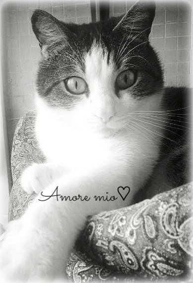 Ferrarisergio4 On Twitter Giorno Buono E Serenogiorno