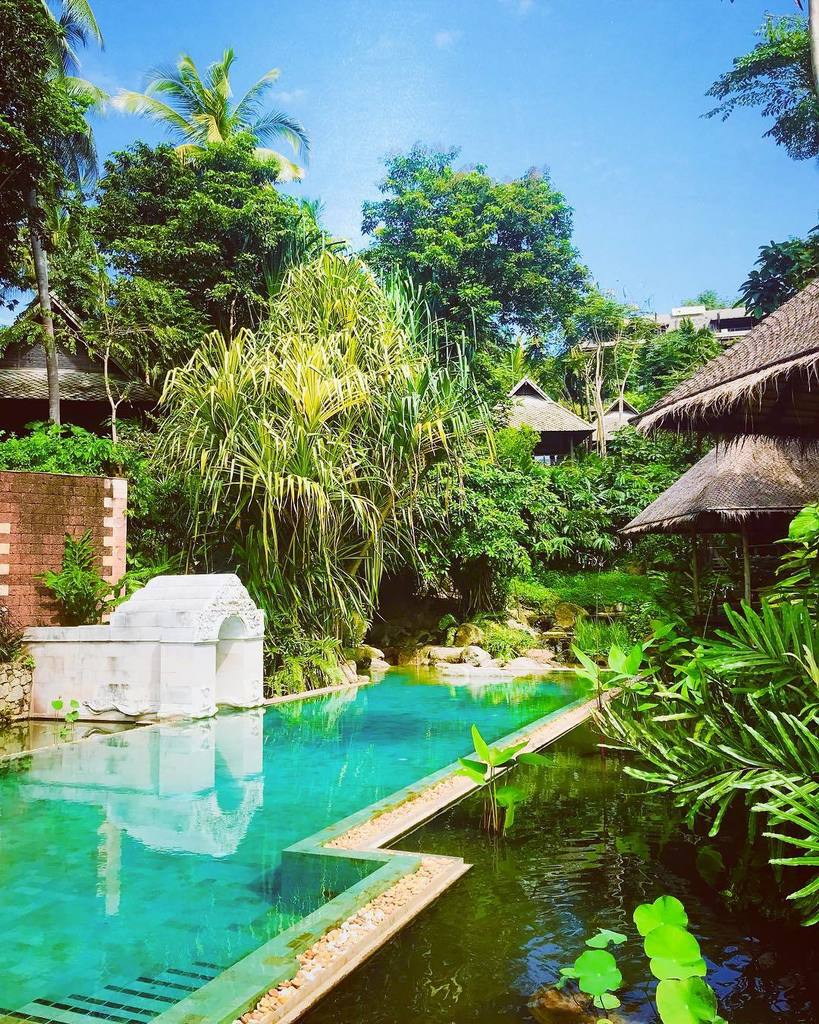 theboutiqueadv's tweet image. How good does this pool look? Such a great view from lunch!