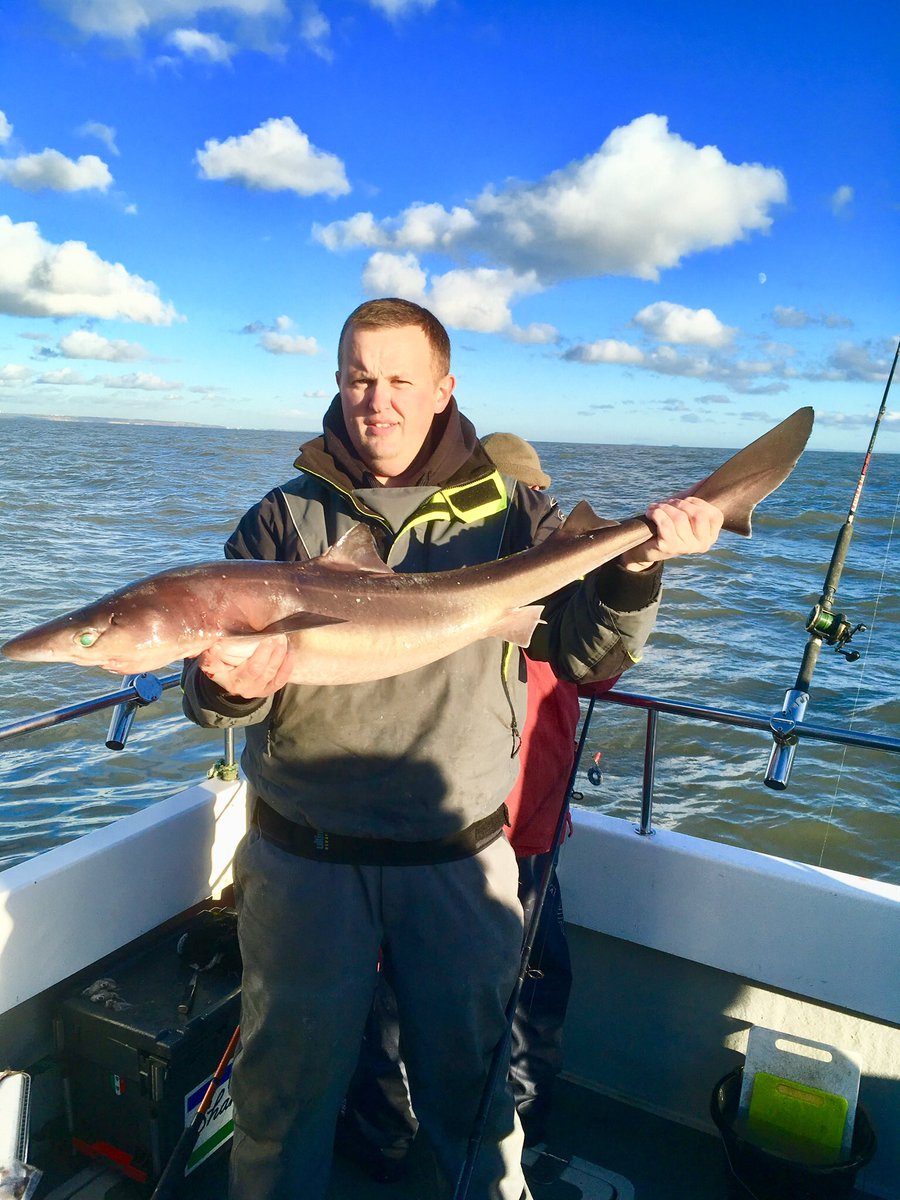 Escape Boat Charters tweet media