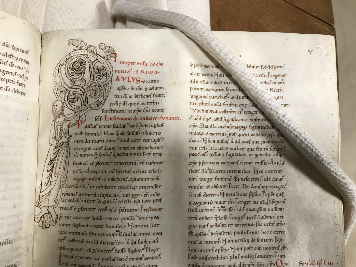 dr_mgeorge's tweet photo. Que dire également de ces magnifiques #lettrines tirées d’un commentaire de saint #Augustin sur les #épîtres de saint #Paul (Verdun, BM, #ms55 ; XIIe siècle) provenant également de l’#abbaye #SaintVanne ? #MedievalTwitter #Lorraine #Meuse #Verdun #Patrimoine #Enluminure #Oiseaux https://t.co/rsF3CN8ve4