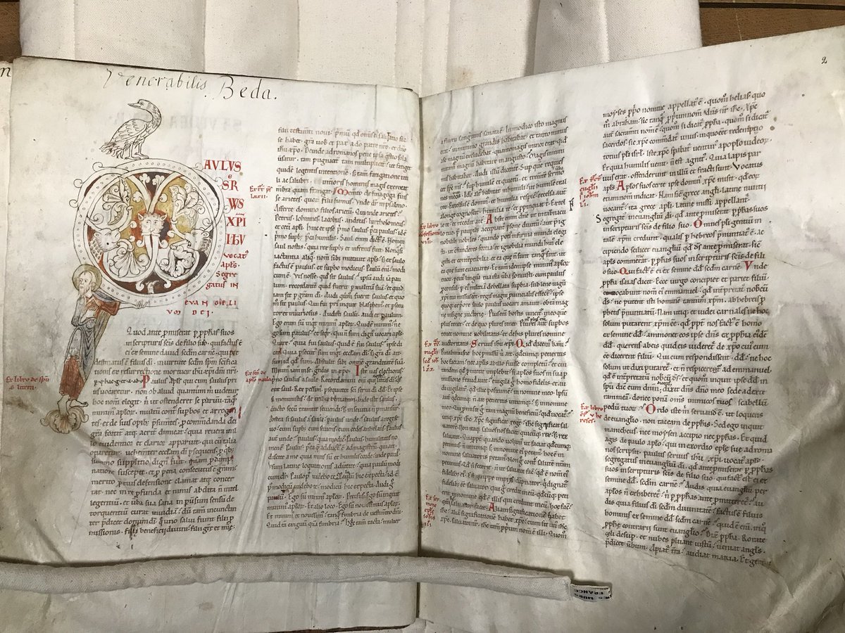 dr_mgeorge's tweet photo. Que dire également de ces magnifiques #lettrines tirées d’un commentaire de saint #Augustin sur les #épîtres de saint #Paul (Verdun, BM, #ms55 ; XIIe siècle) provenant également de l’#abbaye #SaintVanne ? #MedievalTwitter #Lorraine #Meuse #Verdun #Patrimoine #Enluminure #Oiseaux https://t.co/rsF3CN8ve4