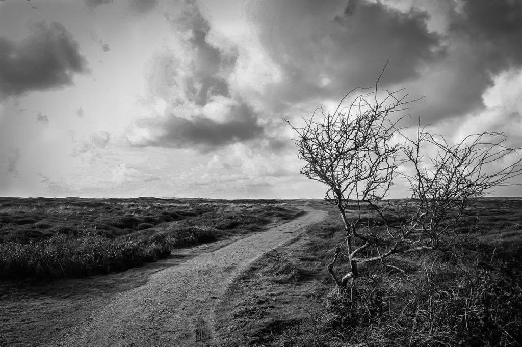 Alone IV #landscapephotography #loodsmansduinen #texelgevoel #texelpics #cloudporn #bw_beautiful_landscapes #mauricehertogfotografie #raymasterscamerafilters