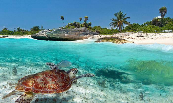 ViajesCrfVal's tweet photo. Empezamos año y ¿por qué no soñar grande?. Imagina el viaje que siempre has querido hacer y ven a contárnoslo.
¿Quién sabe?Quizá el 2018 sea ese año donde lo hiciste realidad. https://t.co/44afJobYw1
