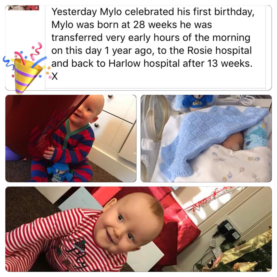 ANTS 🚑 tweet media