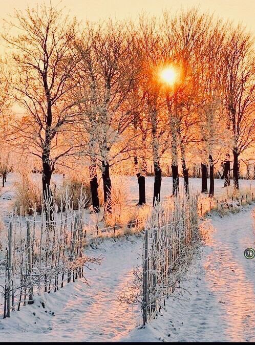 Alexsander García🙏🌎 (@alexsan20950354) on Twitter photo 