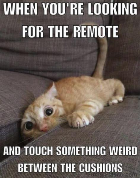 LexPanthor's tweet image. 