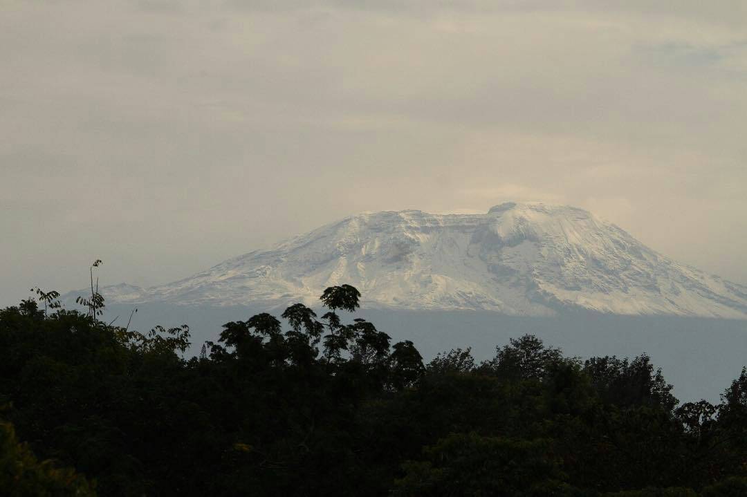 #Trees4Kilimanjaro 

The beautful land that brought me up.