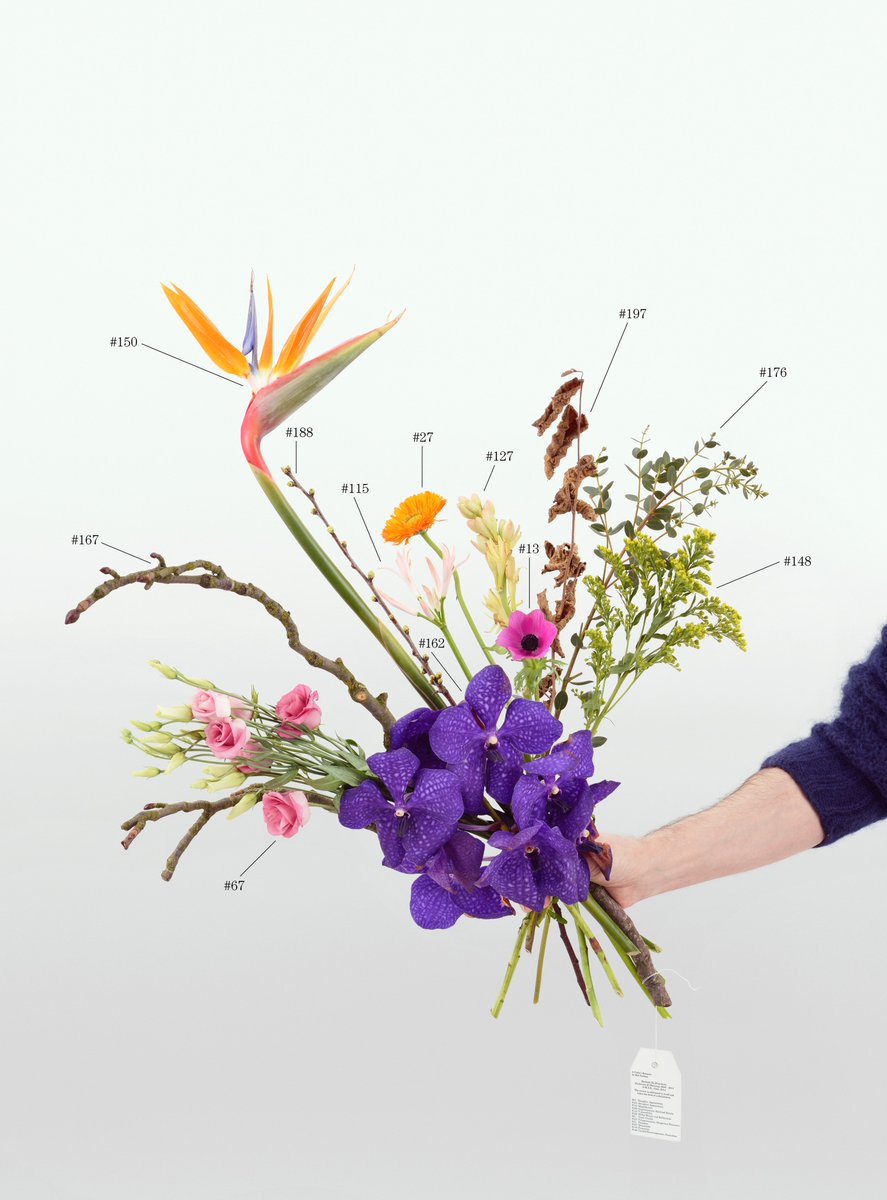PLATFORM_FRAC's tweet photo. #Platform et les 23 #FRAC vous souhaitent une belle et heureuse année 2018 !
Natalie Czech, A Critic’s Bouquet by Hili Perlson for Berlinde de Bruyckere, 2015
Collection @FRAC_CA Acquisition 2017
© Adagp, Paris, 2017 https://t.co/CYYCLMEvHs