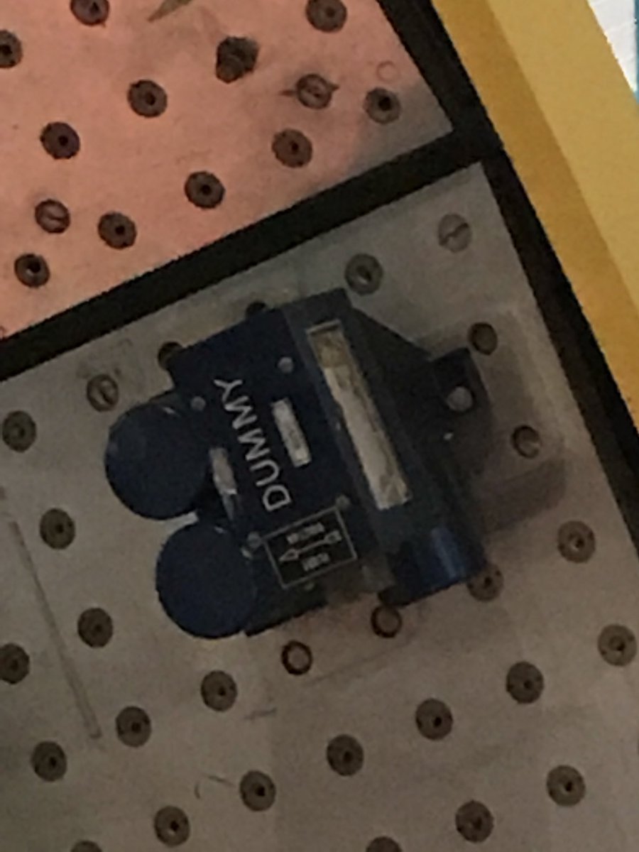 GooseReal's tweet image. 