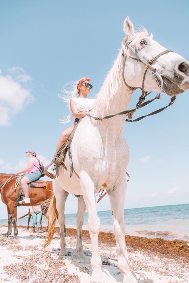 DiscoverCayman's tweet photo. Horsing around

Cayman is known for its beaches so why not explore them on one of these guys? Thanks to Cayman Horse Riding with Nicki for this adventure.

#CaymanIslands #DiscoverCayman #Caribbean #Horses https://t.co/Gt2UKHo6Di