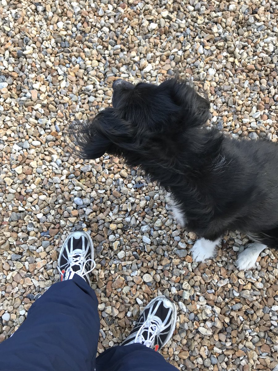 TimSmith2021's tweet photo. Day 3 of #redja https://t.co/QHqevrWuPp nuary for @MindCharity in between back to school prep. , with a little help from my pal... &amp; the sun is shining! https://t.co/kXORtK2P1p