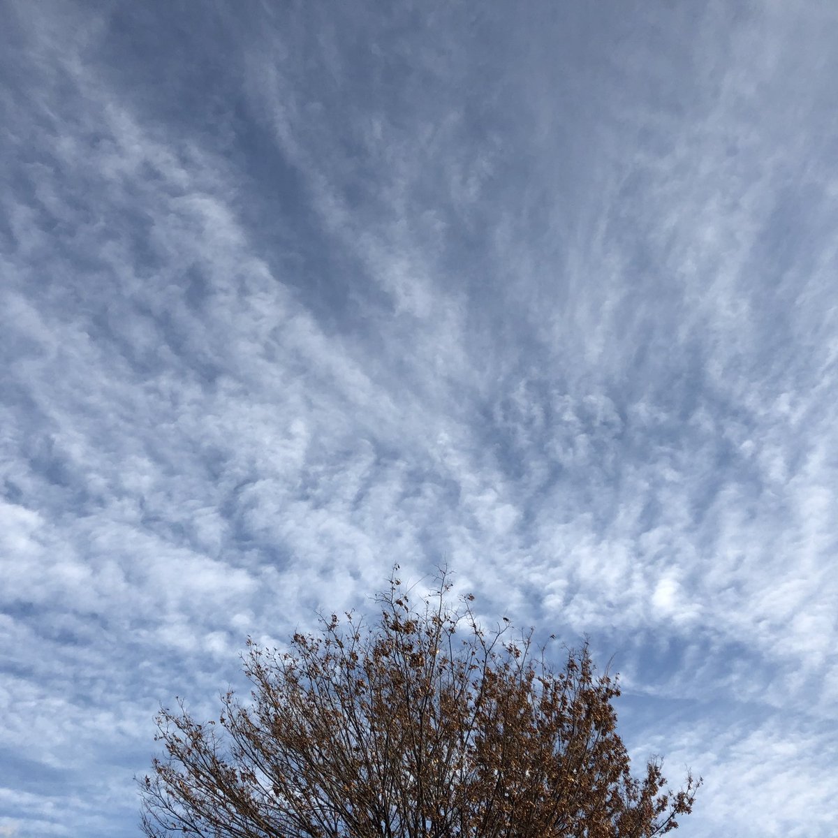 오늘의 위로 #하늘