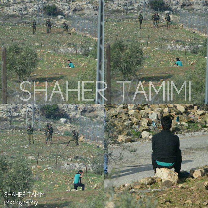 View image on Twitter