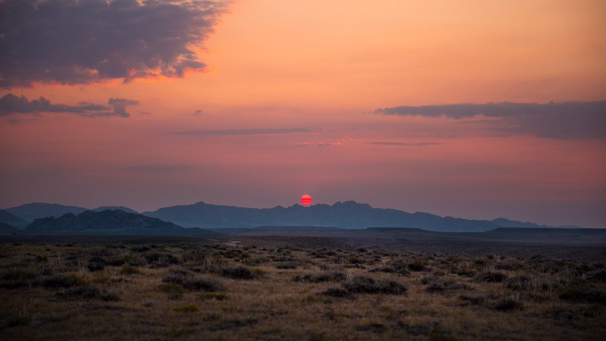 Outback Outdoors tweet media