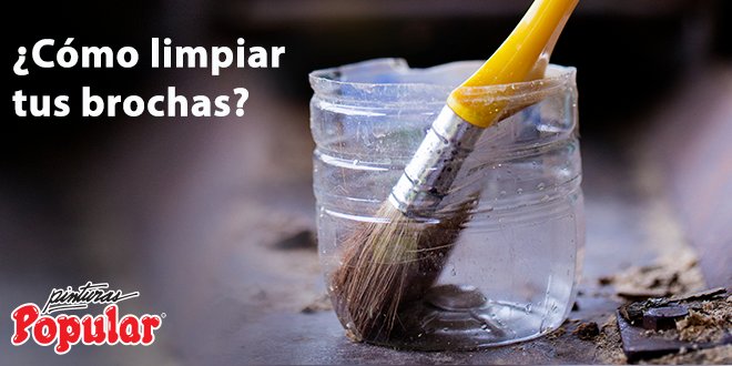 PinturasPopular's tweet photo. Para eliminar la pintura de agua o semigloss seca de una brocha colócala en una olla con un poco de vinagre y ponerla a hervir durante unos 10 minutos. Una vez se haya enfriado un poco, peina las cerdas con tus propias manos. #TécnicaPP #IdeaPP https://t.co/ZzUXxokDVb