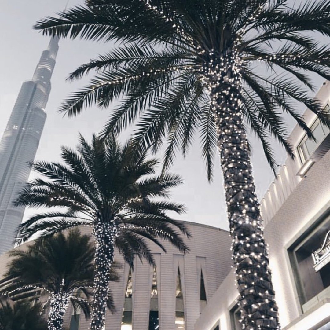 New year, new opportunities. Better days are coming.