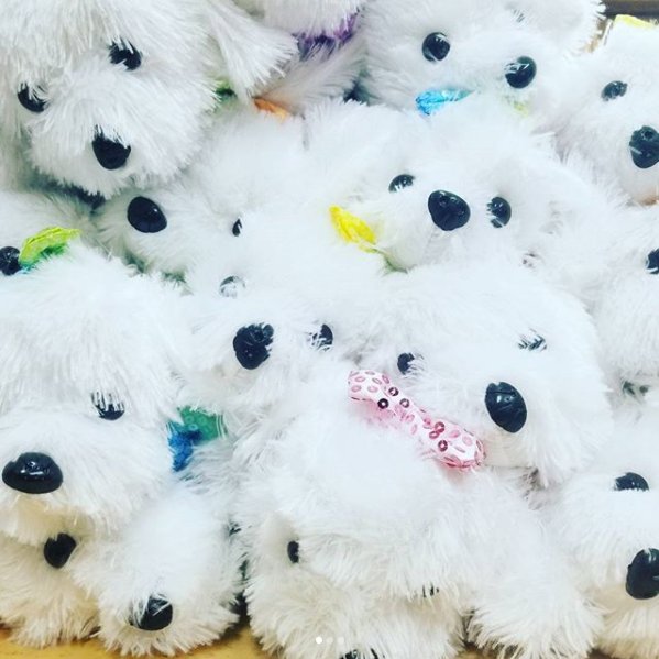 sensibling's tweet photo. Cuteness OVERLOAD! ๐๐ถ๐
#sequins #sequin #dog #puppy #crossbodybag #crossbody #sensibling #fashion #fashionista #purse #handbag #animallover #dogbag #iotd #fashionblogger #bagforsale #itemoftheday #accessories #baglover #cutenessoverload #cute #instadaily #jewelryofig https://t.co/MPekvqtwfx