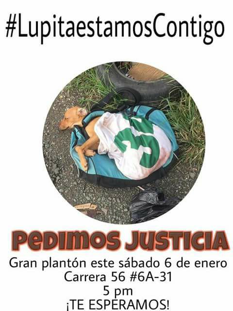 Ver imagen en Twitter