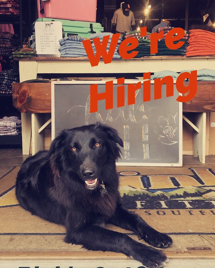 BINKSOUTFITTERS's tweet photo. All locations are hiring! Stop in with your resume today! #retailjob #flexiblehours #storediscount #teambinks https://t.co/TZXwQVYH1x
