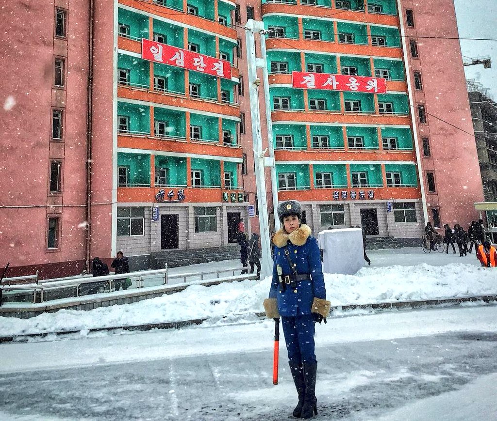 SunnyPyongyang tweet picture