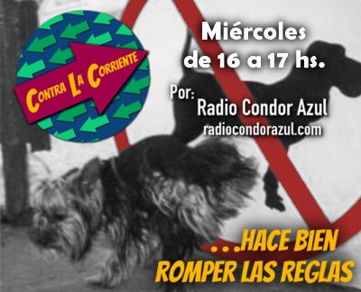 johnsudayafull's tweet photo. #contralacorriente vuelve estilo verano con todo lo que tenes que saber, mucha musica y debate.
#Aumentos 
#reformas 
#Despidos https://t.co/aW0Lq6e2yk