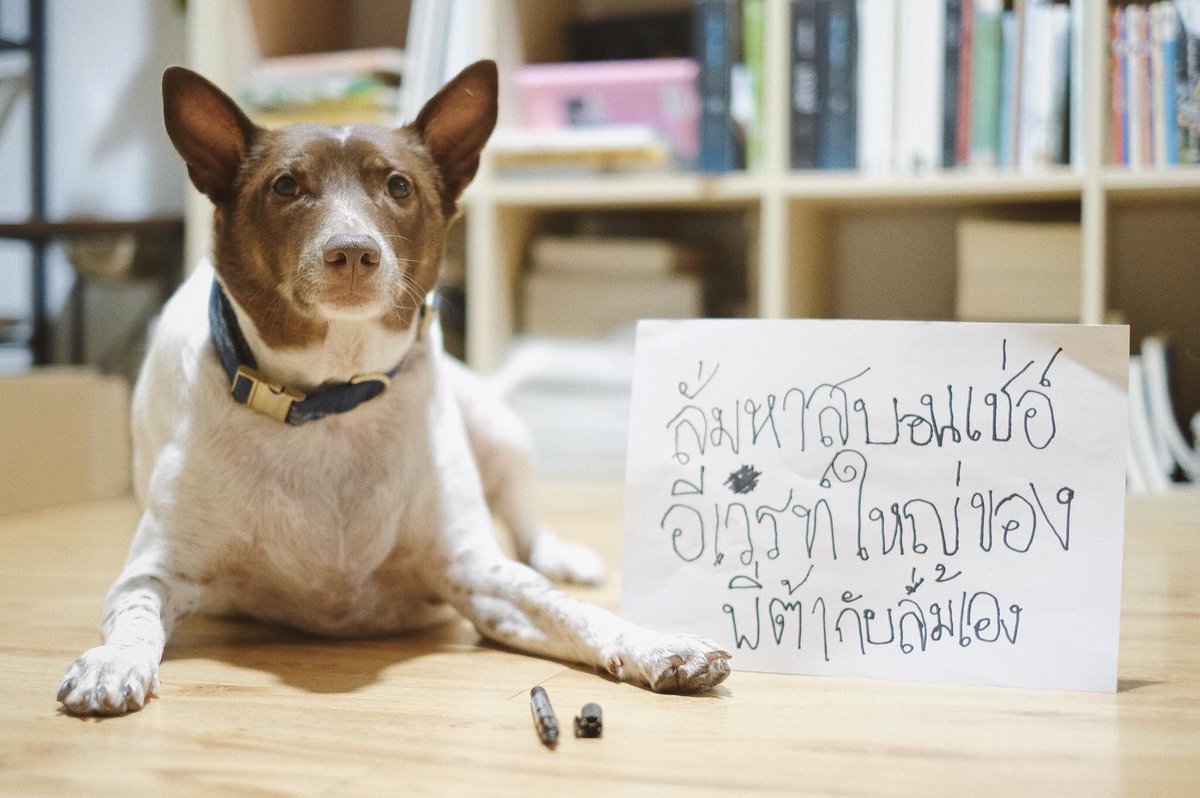 ล ั่มย ังไม ่มีส ปอนเซอร ์เ ลยค ่ะพี ่
คนมาง านเป ็นพ ันคน
สป อนเ ชอร ์ไม่รักลั ่มหร อคะ 😢 ช ่วยลั่มด้วย

สนใต  line : koy14848 หรือ 089-479-2494