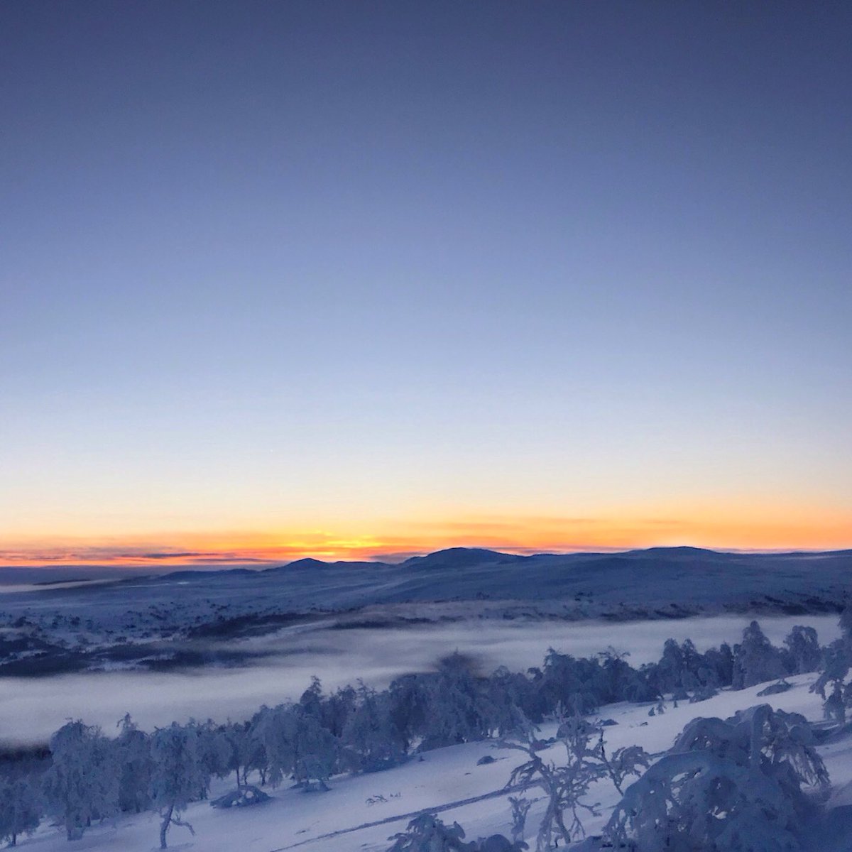 RobbanLundberg's tweet photo. Någon som behöver en riktig vinter med snö, sol och kyla? Jag vet ett ställe... #klimpfjäll #winterwonderland https://t.co/kc4goxIAF1