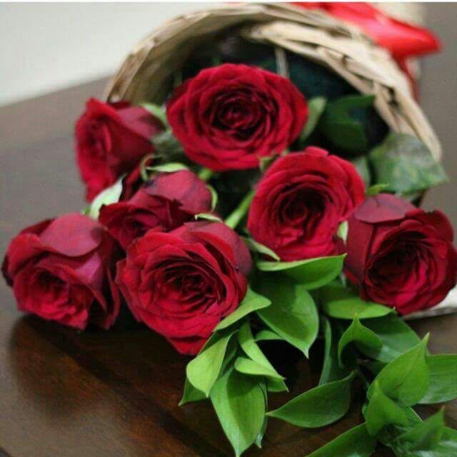 OmRafed's tweet image. #سنه_2018_بكلمتين 

لا أعلم ماذا يخبئ لي الغد ..
ولكنني خبأت له 

&quot; حسن الظن بالله &quot;