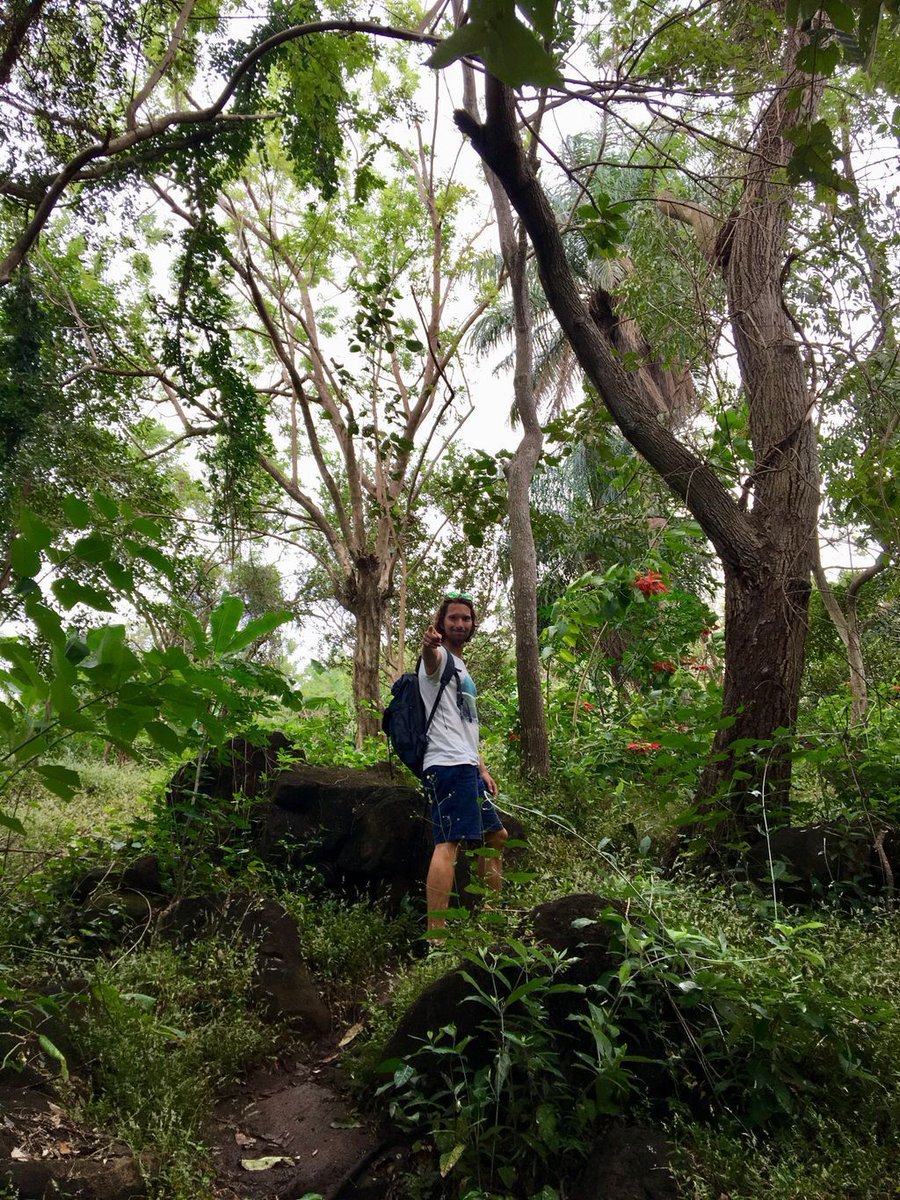 activitybean1's tweet photo. surrounded by wonderful nature during our #jungle #hiking experience on #Ometepe Island
.
.
#experience #activitybean #adventure #nicaragua https://t.co/IDRftaIjWA