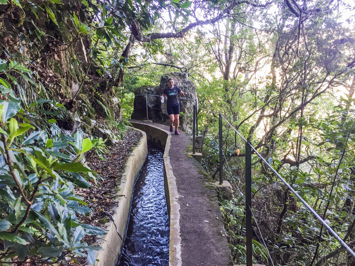2MADEIRA's tweet photo. Running tour with Emma through beautiful trail in Poiso.
https://t.co/0MJlSBbQP1
#trailrunning #2madeira #runningtours https://t.co/qbLIp3Img2