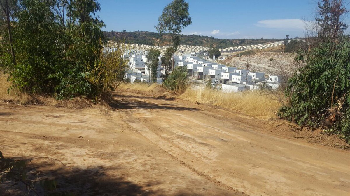 Se está realizando el Operativo Plan Forestal 2017-2018 <a href="/Munivillalemana/">Municipalidad de Villa Alemana</a> en nuestro sector 😉👍🏾 se agradece! <a href="/hwittigb/">Heinrich Wittig Barreto</a> <a href="/josesabatmarcos/">Jose Sabat Marcos</a> <a href="/Francy1226_cr/">Francy</a> <a href="/Claudia53562984/">Claudia Gutierrez</a> <a href="/imaginativo_com/">imaginativo_com</a>