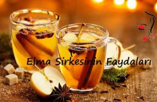 kadinkokusunet's tweet photo. Elma sirkesinin faydaları https://t.co/C2vFfd897w #elmasirkesininfaydaları #elmasirkesinin #cilde #saça #faydaları #kadinkokusunet https://t.co/1zITwKAu6E
