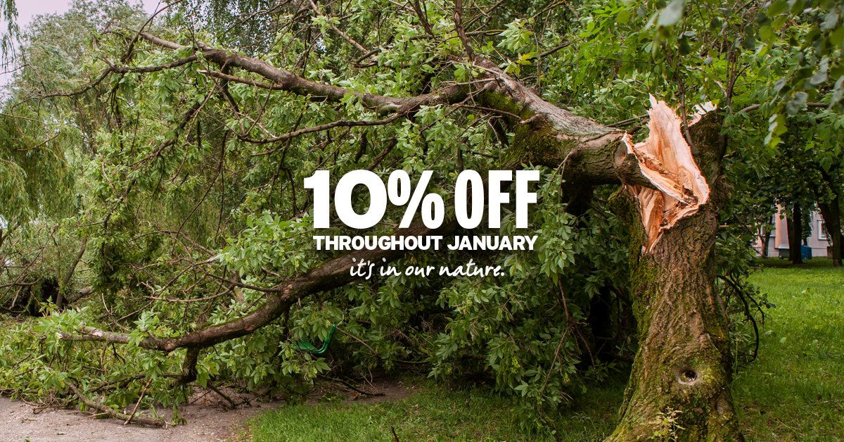 WardTreeSurgeon's tweet image. With winds of up to 70mph hitting Bristol and Somerset during #StormEleanor, it’s essential not to overlook potentially dangerous trees near your home. Call us on 01934 822 722 and quote the code “JANUARYGALE” to receive 10% off our tree surgery services.

#TreeSurgeon #Somerset