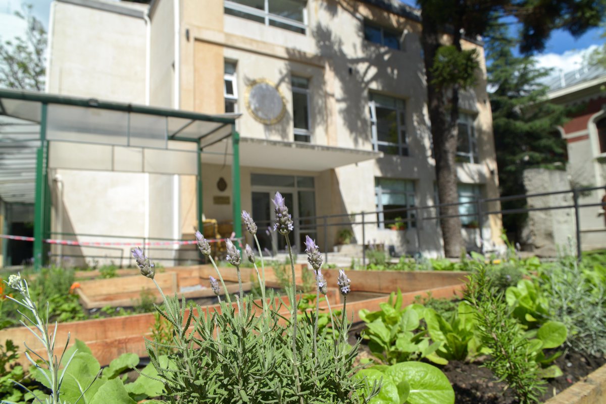 Todo lo que necesitas saber sobre cómo armar tu huerta urbana lo tenés en nuestra web. Mirá → agroindustria.gob.ar/nuestrahuerta