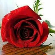 MSiddgui's tweet image. #NewProfilePic