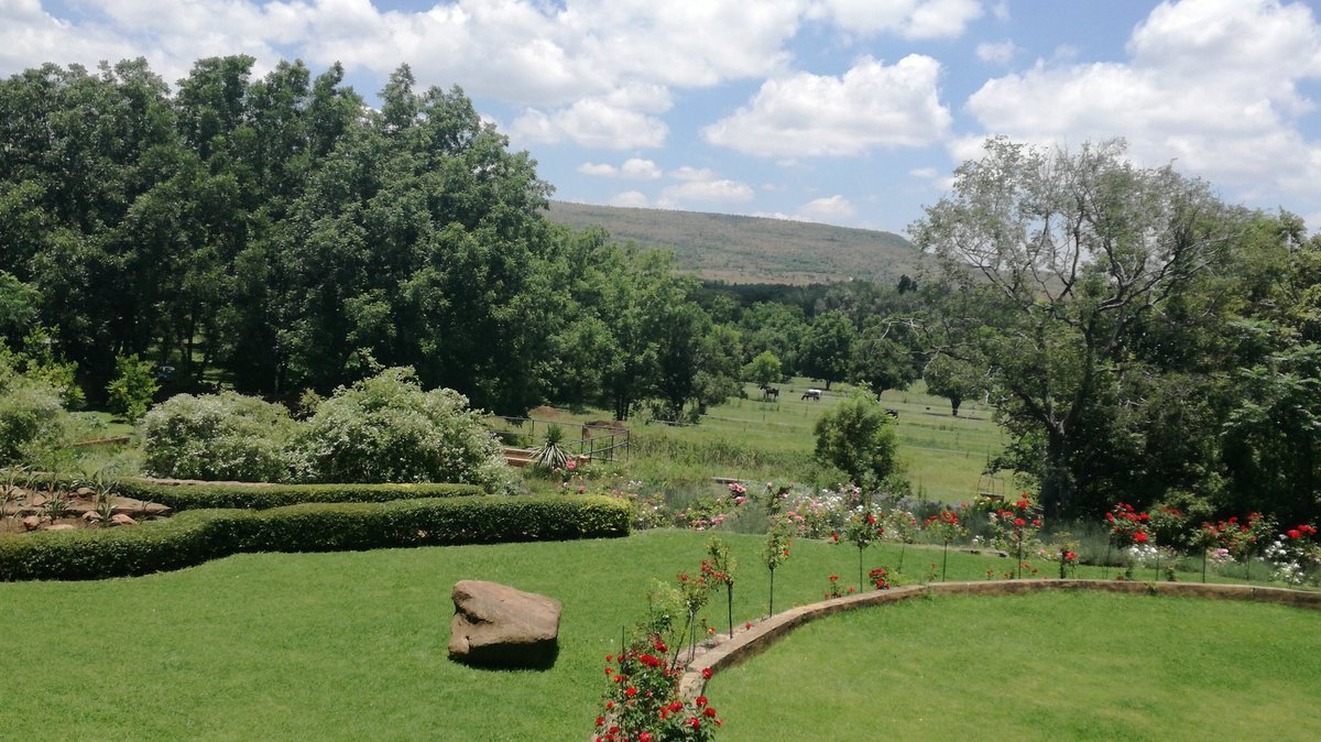 cheekylilo's tweet photo. #blackhorsebrewery #magaliesburg #crazyview #lovenature #lovesa #roadtrip https://t.co/kcMKSa3pLG