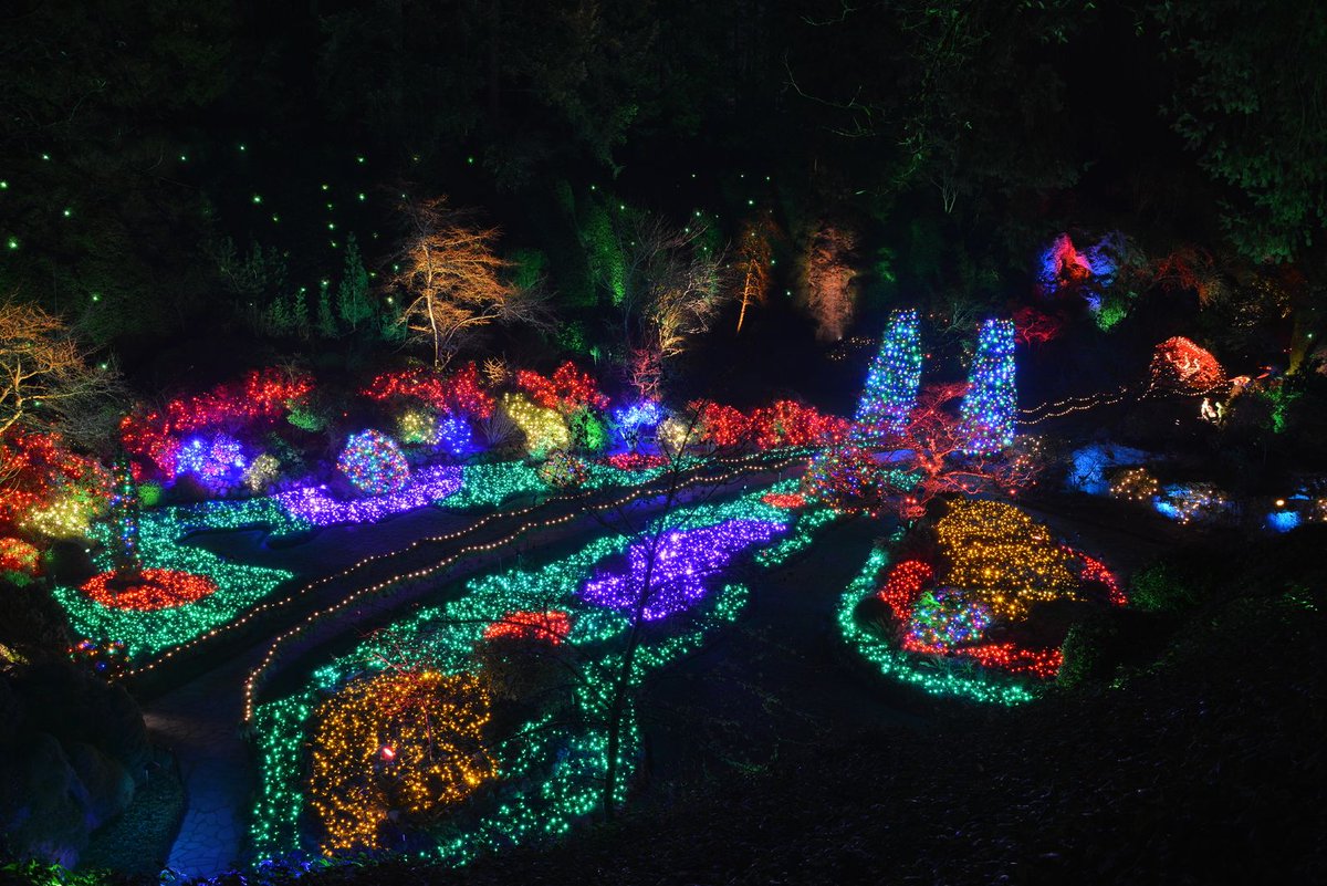 butchartgardens's tweet photo. 3 days left to see the Magic of Christmas display at The Butchart Gardens! It's typically quieter evenings after Christmas which is great for photography and taking your time throughout the Christmas display. #yyj #ButchartChristmas https://t.co/LPuyeR2cKh