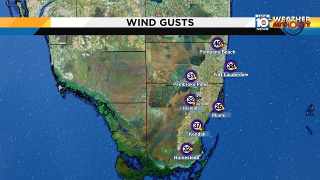 WINDY: Not only is it wet & chilly, but we have winds gusting to 40 mph in parts of South Florida https://t.co/qQY1rkS6uT