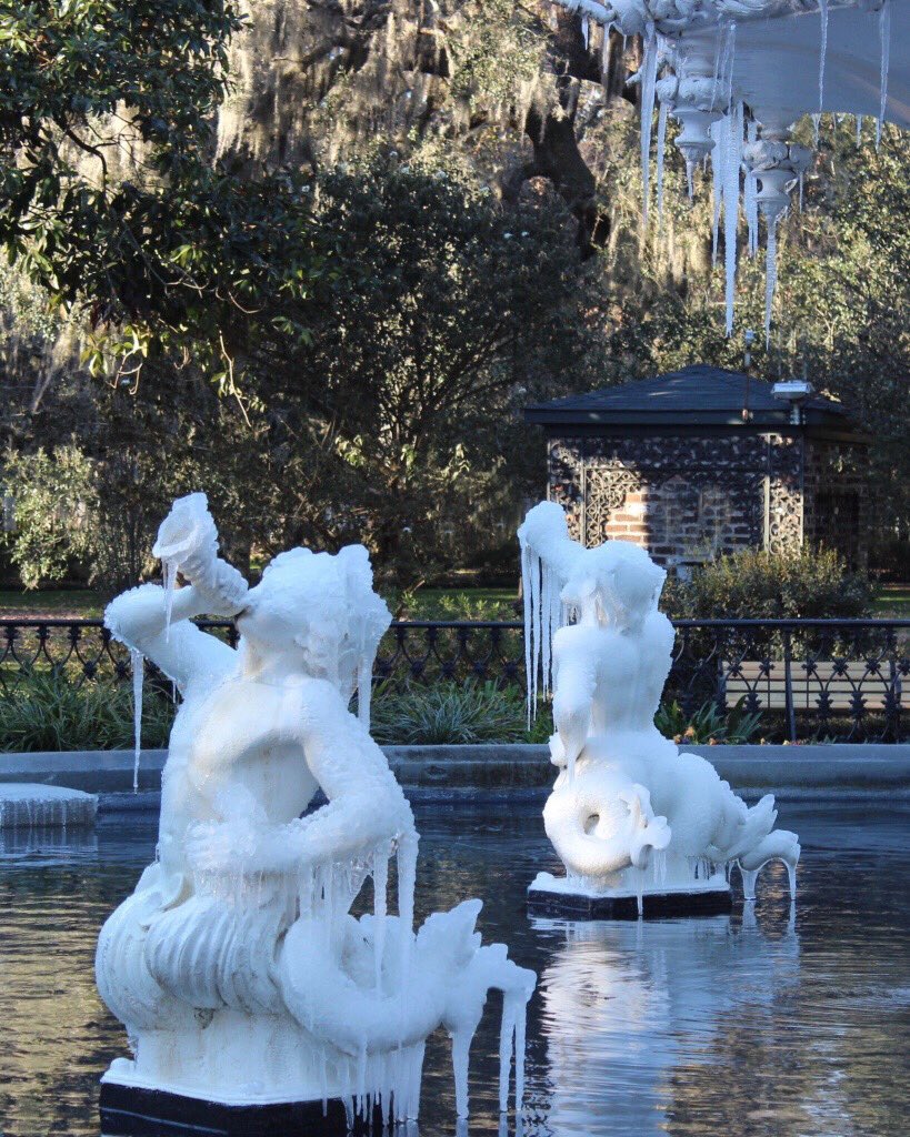 The Forsyth Park fountain looks a little different today... [📸: Anita Earnest]