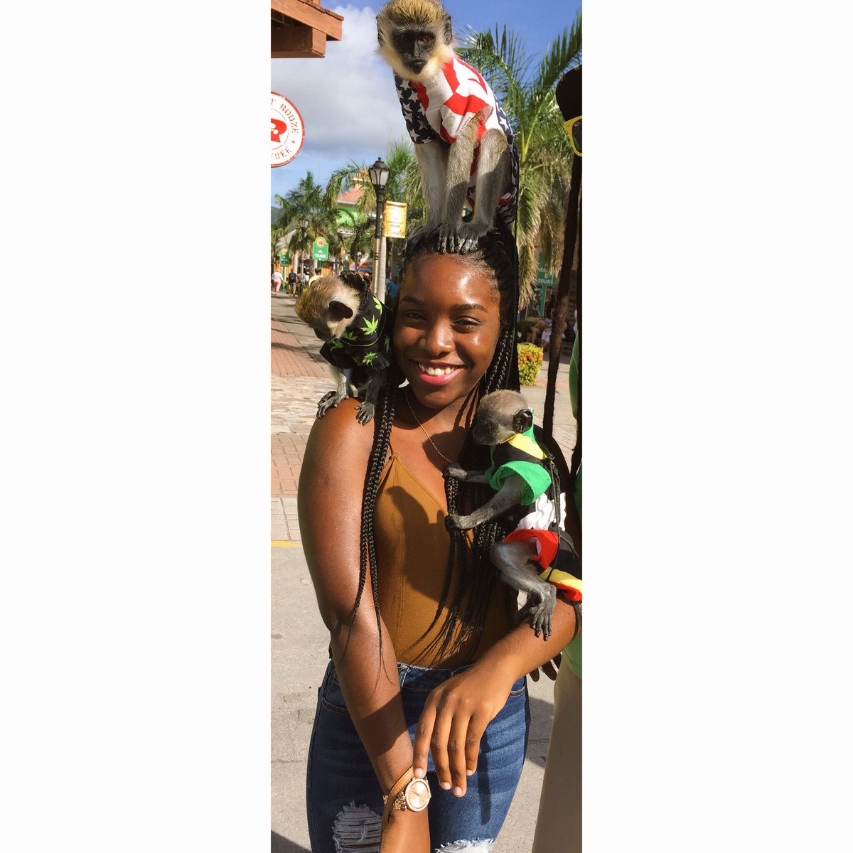 iamkdaee's tweet image. the highlight of my trip, I miss them already 💔🐒.  #monkeyfever