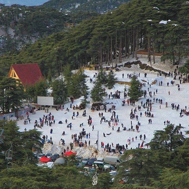 DzTourism's tweet photo. Chrea mountains in #Blida .. #Algeria 
جبال الشريعة في ولاية #البليدة .. #الجزائر https://t.co/bw03zX1lJV