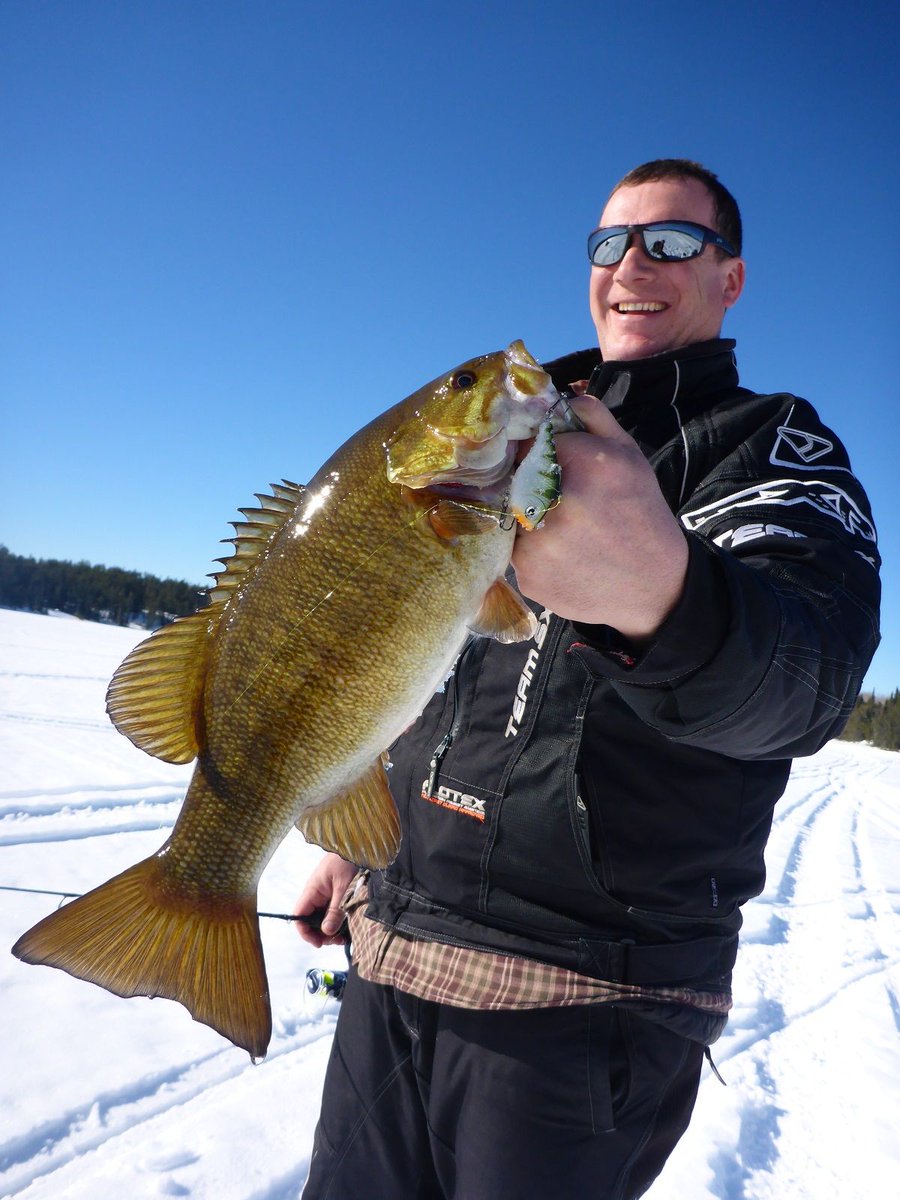 ckosheluk's tweet photo. Even bass can’t resist a Rippin Rap through the ice!
@RapalaCanada @Fivepointduck #RippinRap #Rapala #RapStaff #Sufix #RapSnap #RapalaLures #RapalaRods #smallmouthbass #bassfishing #icefishing #fishinglife #lakelife #secretlake #happyplace https://t.co/rINxygbZVs