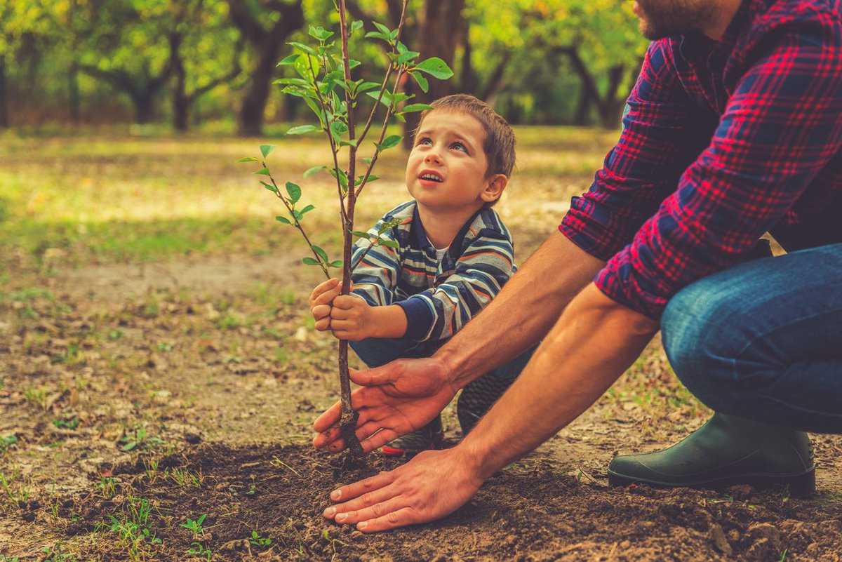 arborday's tweet photo. It's the little things citizens do. That's what will make the difference. My little thing is planting trees. - Wangari Maathai https://t.co/NPWSWxgSnP