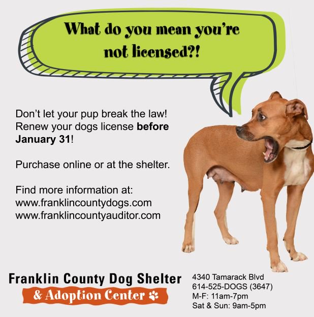 franklincountydogs